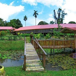 Sabah Tea Garden-Longhouses